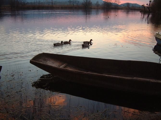 Riserva Regionale Lago di Posta Fibreno